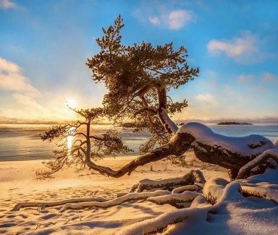 Зима на острове Коэнсаари