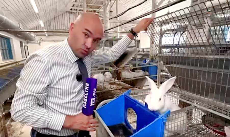 Здесь и далее в статье приведены фото с места описываемых событий.