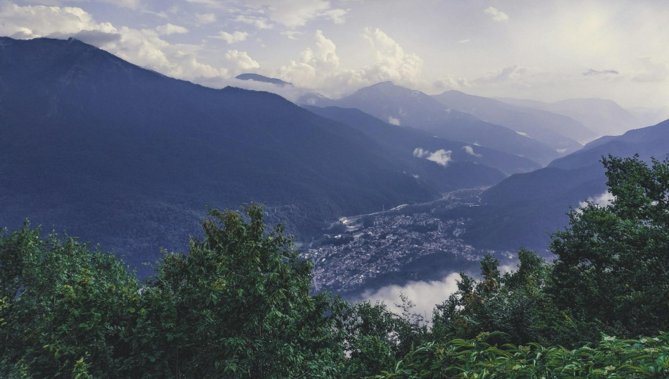 Источник profi + travel