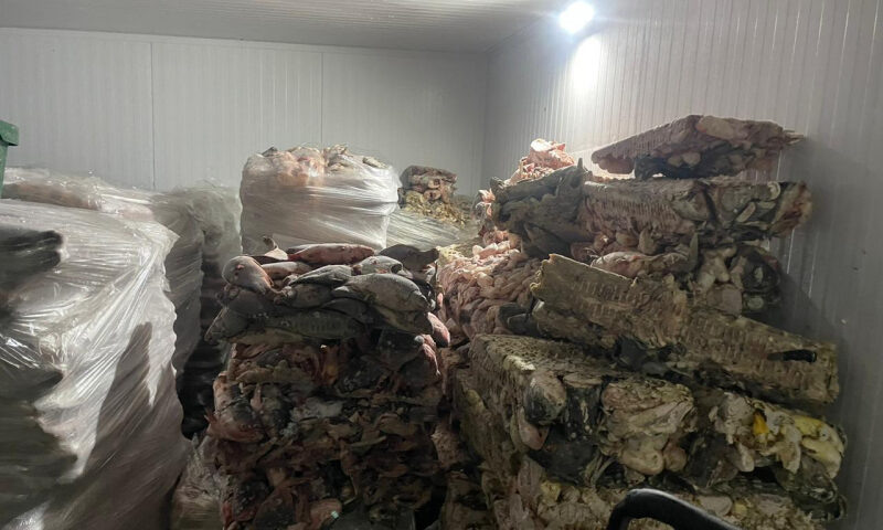    Фото пресс-службы ГУ МВД России по Краснодарскому краю