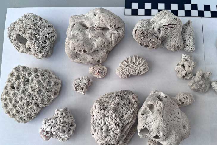    Фото Сибирского таможенного управления