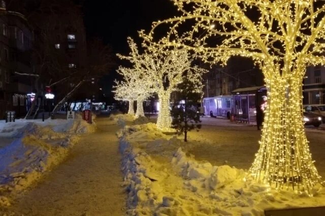    35 светящихся деревьев появятся на улицах Красноярска.