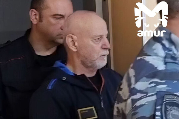 Телеграм-канал «Amur Mash»  📷