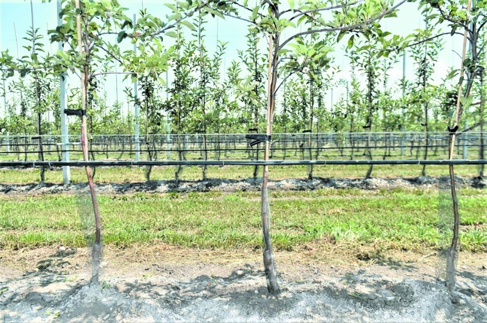    admkrai.krasnodar.ru