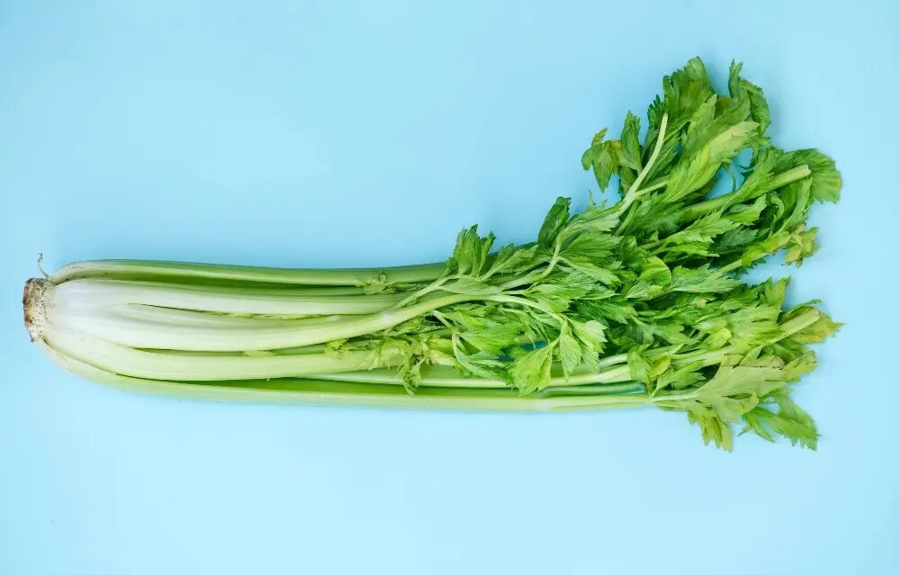     © Freepik. Rawpixel