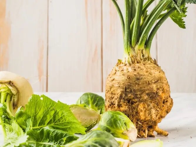  Сельдерей бывает корневой, черешковый и листовой   © Freepik