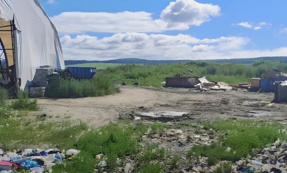    Фото: Телеграм-канал Светланы Радионовой