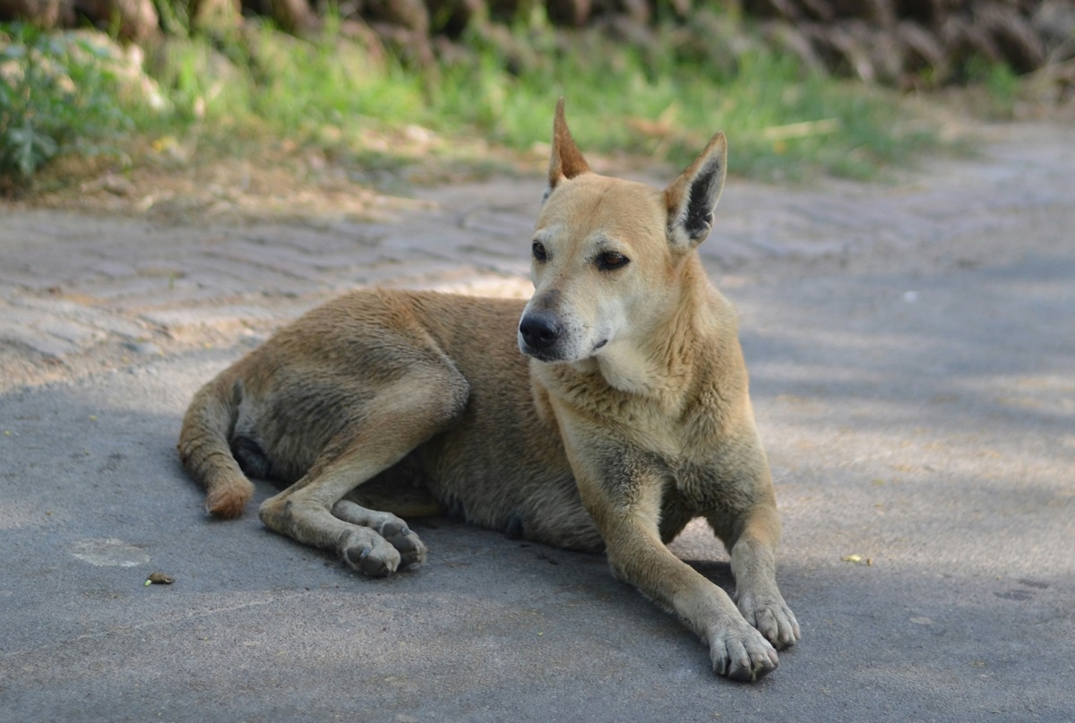 Четкие критерии должны обеспечить безопасность граждан.  Фото: unsplash.com