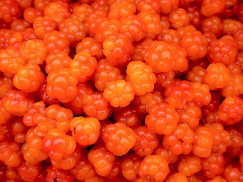 фото из открытых источников сети "Интернет"