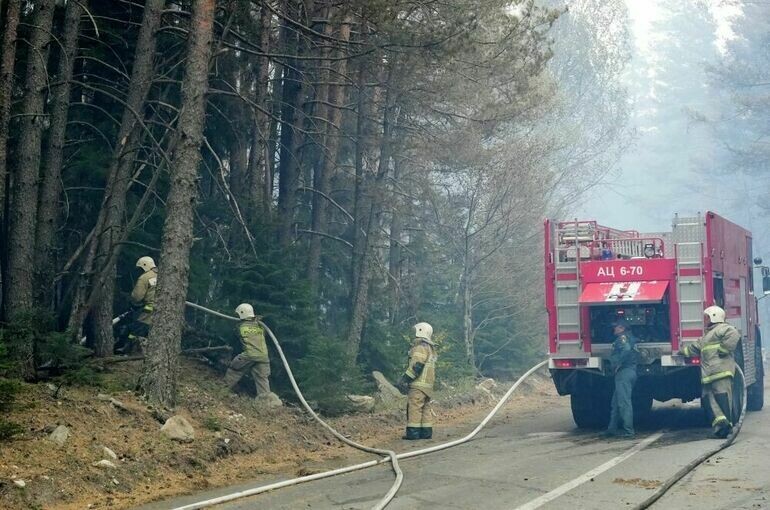   Денис Абрамов / РИА Новости