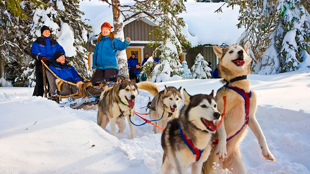 Катание на собачьих упряжках в Карелии. Фото: lirp.cdn-website.com/