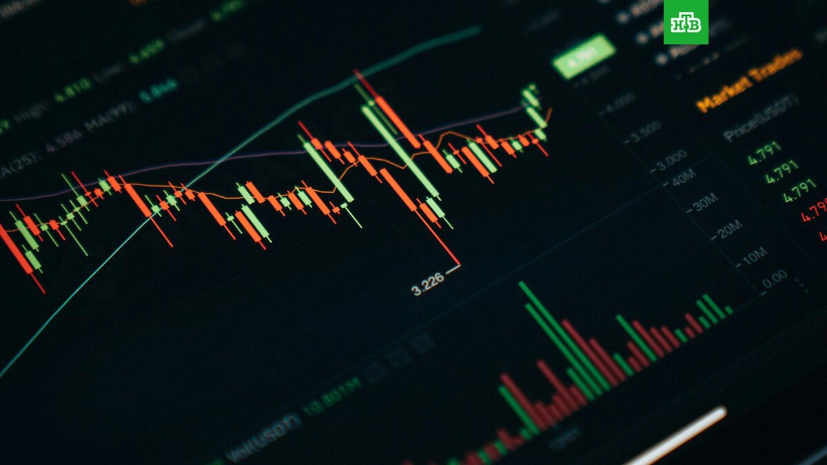    Фото: Dylan Calluy / unsplash.com