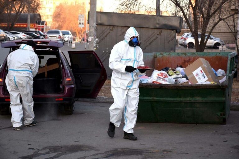    1100 контейнерных площадок обработают в Оренбурге от грызунов Андрей Севостьянов