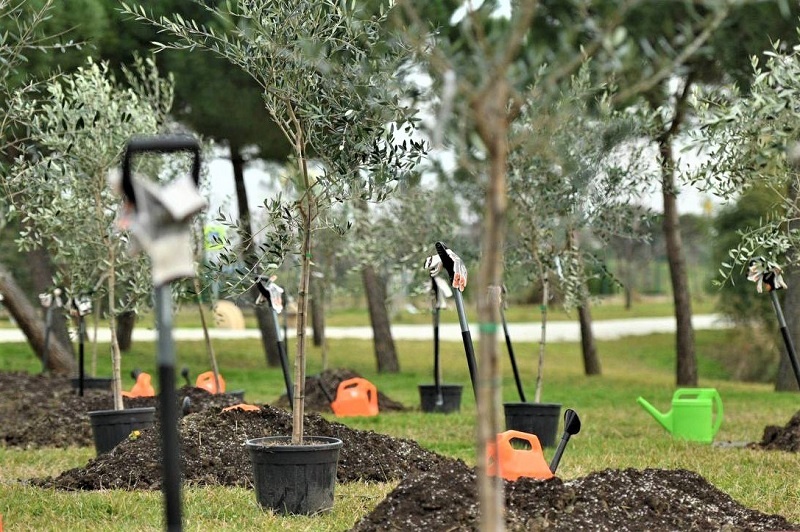    Фото: пресс-служба администрации Краснодарского края