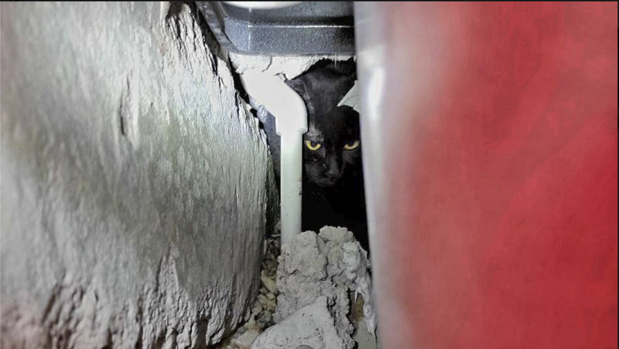 Фото: "СпасРезерв"