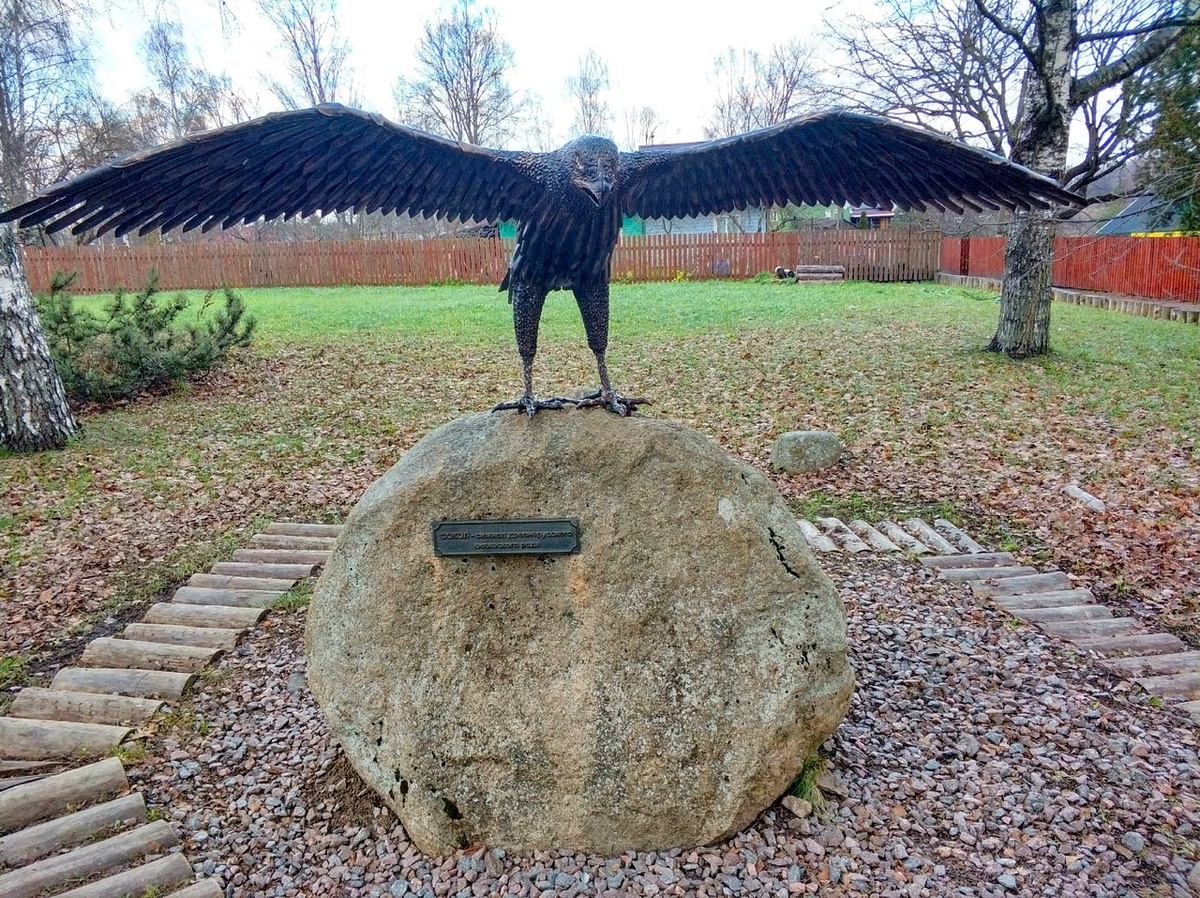 Сокол в Старой Ладоге.
