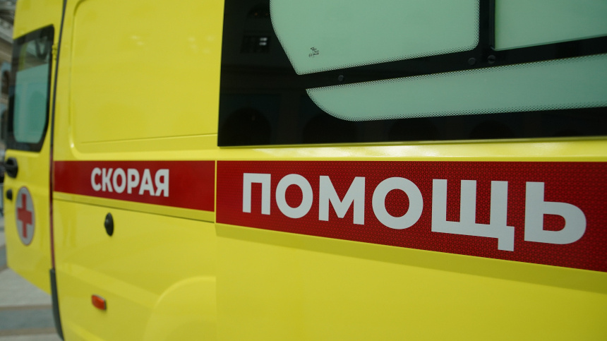    Фото: ИЗВЕСТИЯ/Эдуард Корниенко