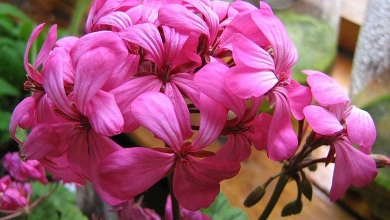 Источник: Аргументы и факты