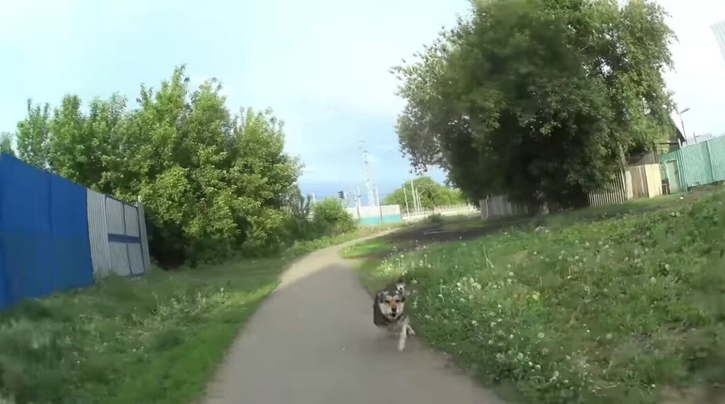 Фото: Pr Scr youtube.com / Обзор 360