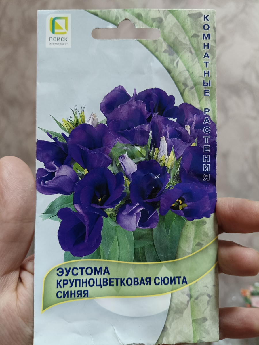 Эустома Крупноцветковая Сиюта Синяя. Взошло 5 из пяти. Выжило пока 4. Горшечная
