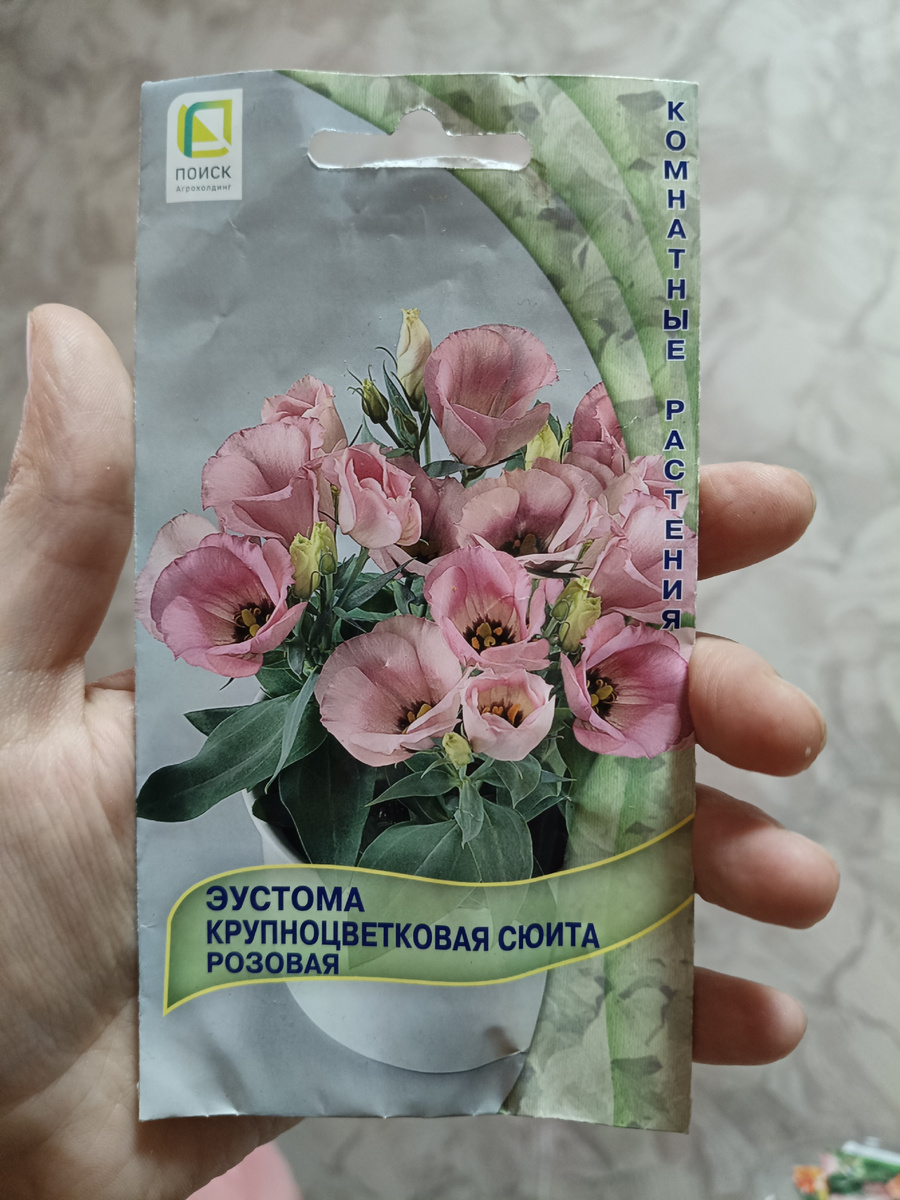 Эустома Крупноцветковая Сиюта Розовая. Взошло 5 из пяти. Выжило так же 4. Горшечная