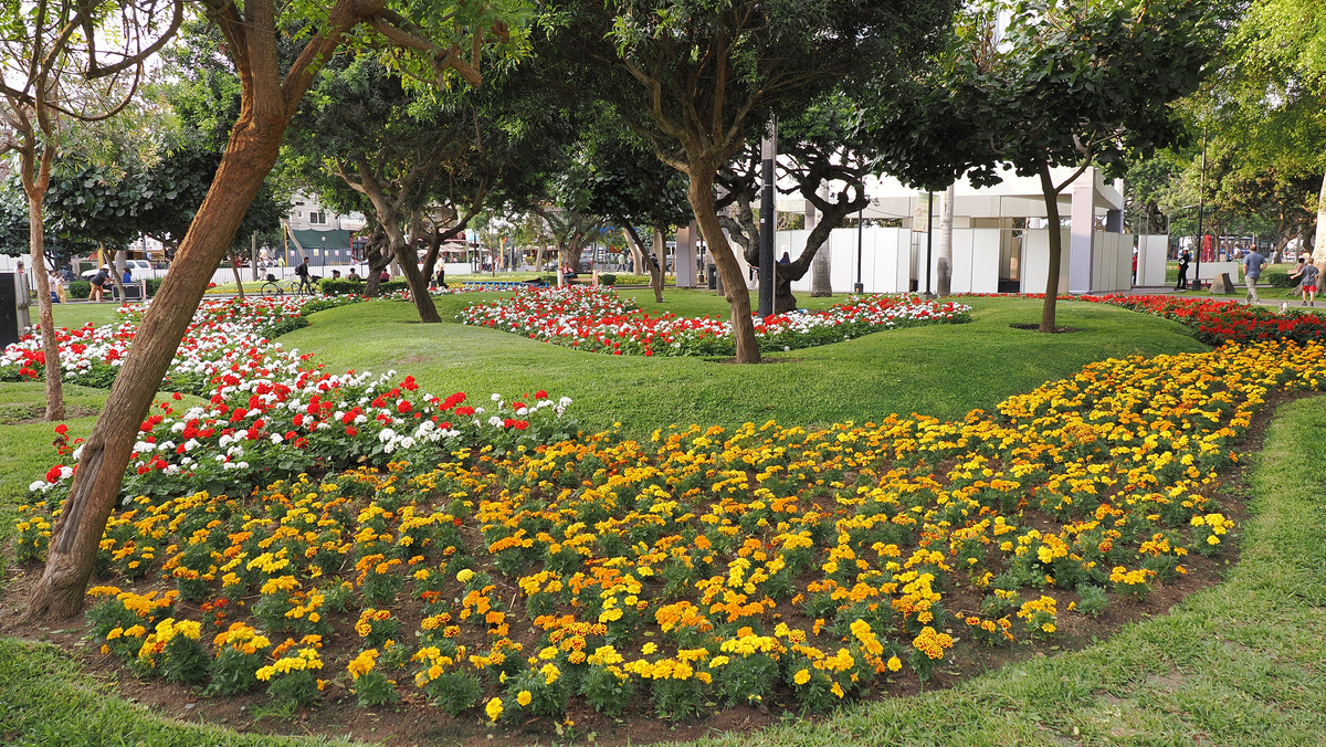 Парк Кеннеди — излюбленное место всех кошек и кошатников! Это просто дом кошек, люди специально приходят сюда, чтобы покормить их