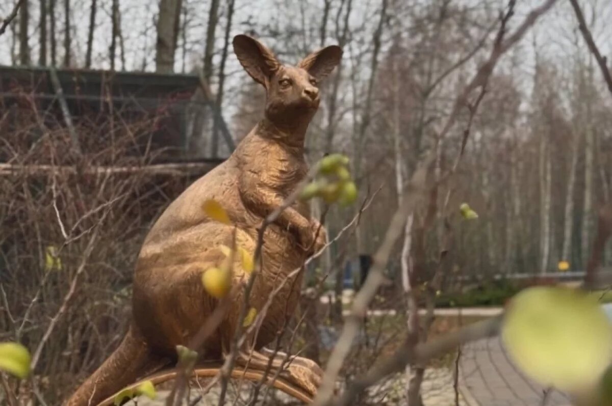    В Белгородском зоопарке установили памятник в честь погибшей кенгуру Гранди