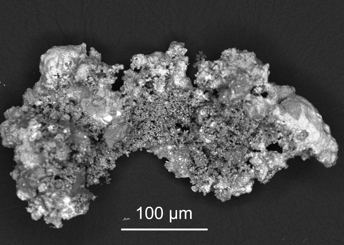 Микрометеорит, собранный из антарктического снега. Фото: взято из en.wikipedia.org