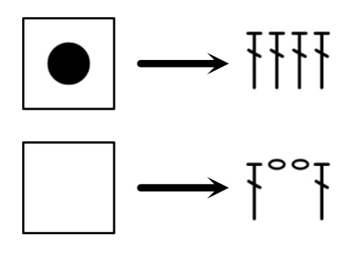 Расшифровка филейных схем