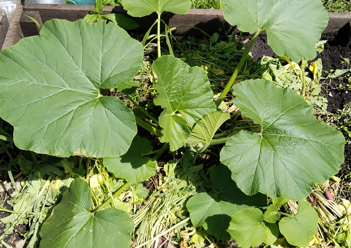 Фото от 23 июня 2024