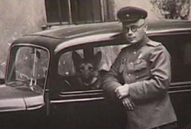 "Лже-офицер и лже-командир части" Николай Павленко, 1945 год. Источник - https://author.today/post/360228