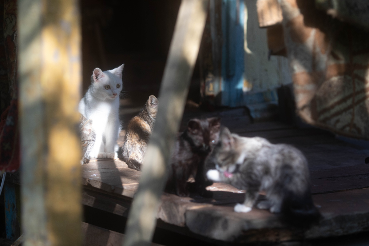 Кто-то не выжил