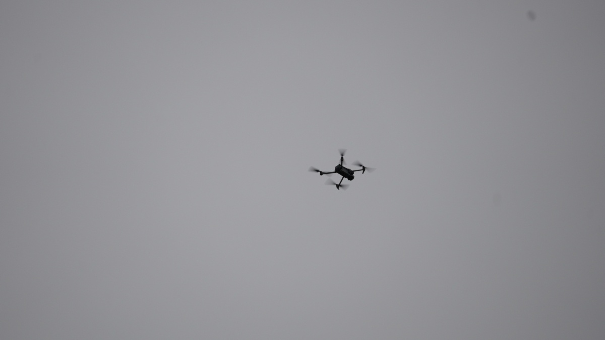 Светлана Мулыкина📷
