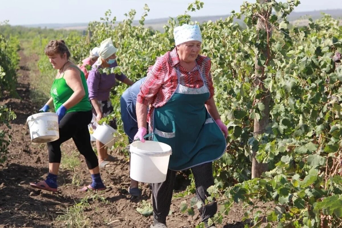    Сезон завершён.