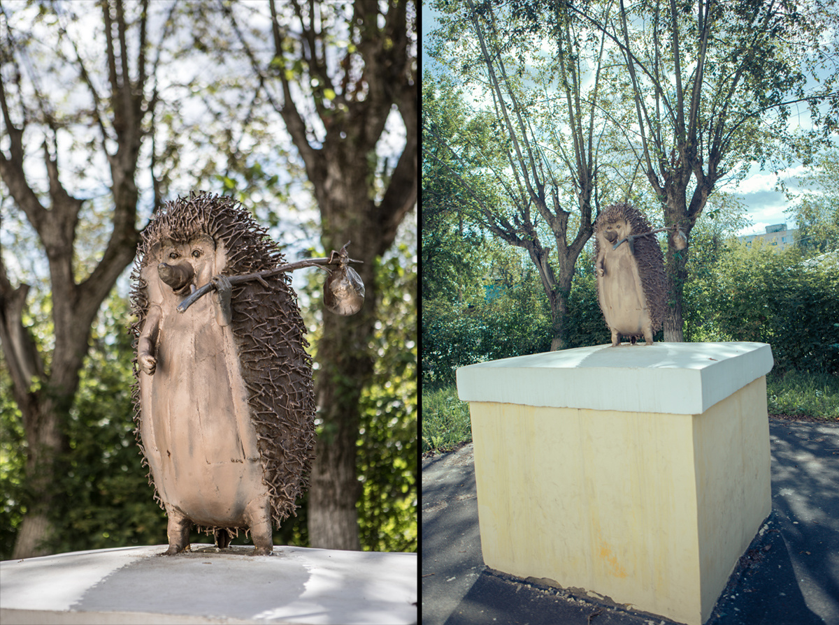 Так выглядел Ёжик в 2018 году