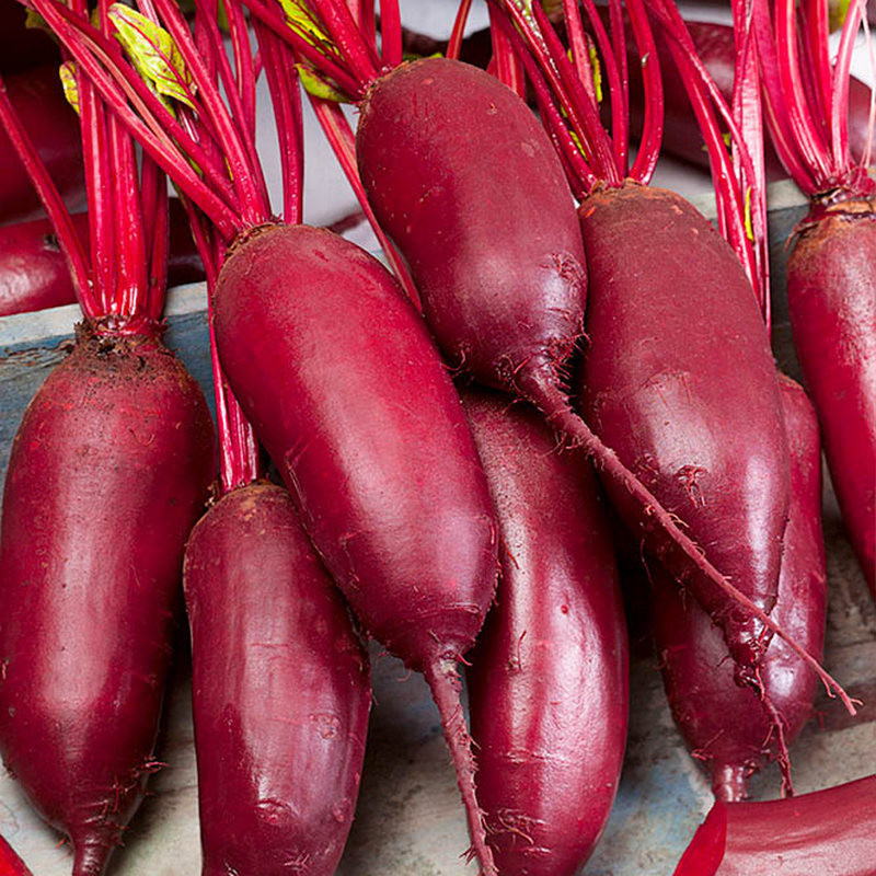 Источник микроэлементов и витаминов. Применяется также в диетическом питании. Фото: открытые источники.