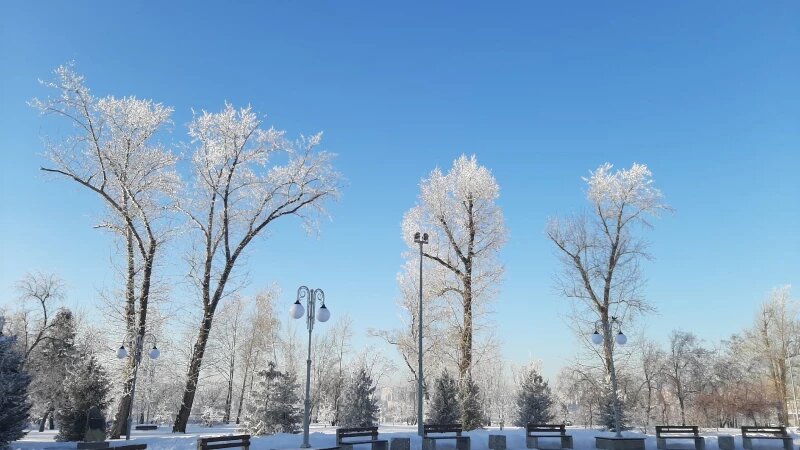     Барнаул сказочный. altapress.ru