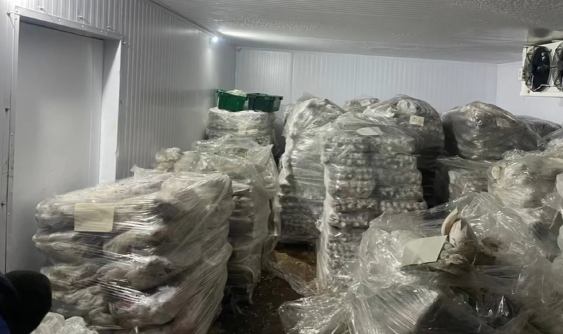    Скрин: видео пресс-службы ГУ МВД по Краснодарскому краю