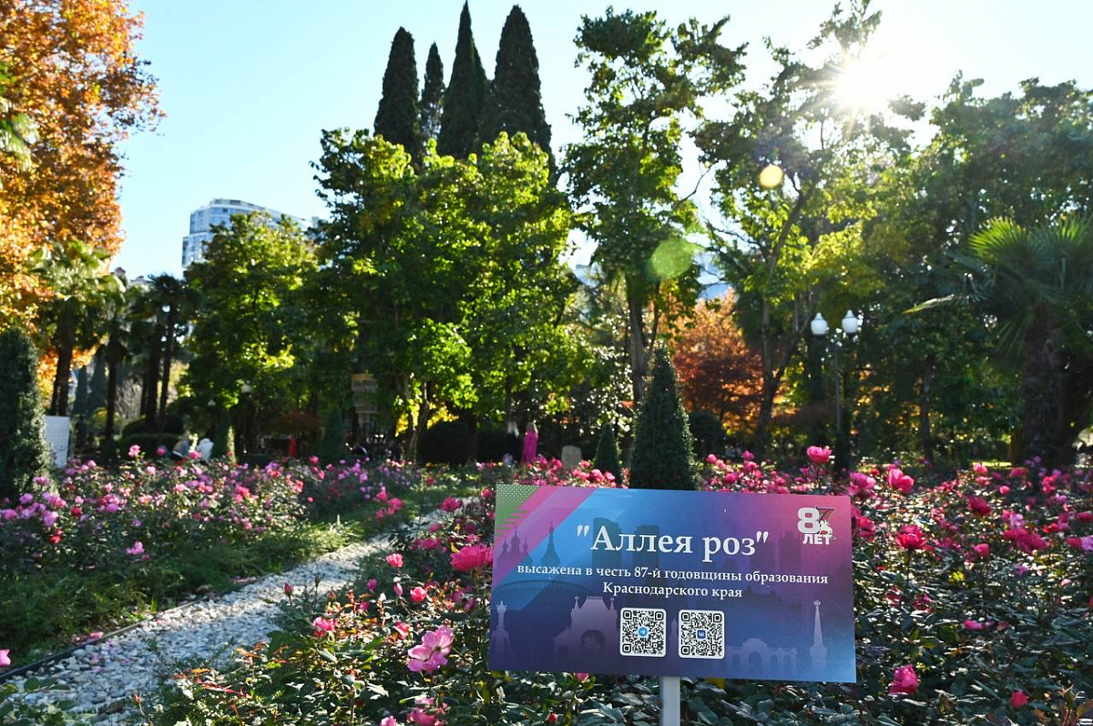    Фото: пресс-служба администрации города Сочи