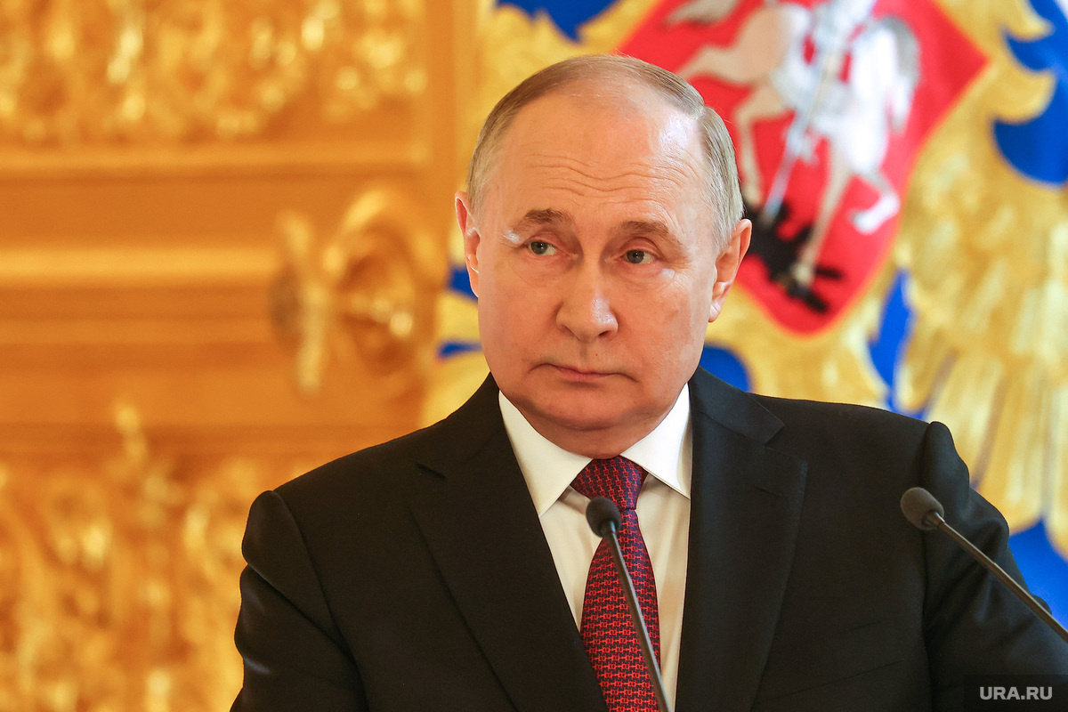 Фото: Владимир Андреев © URA.RU