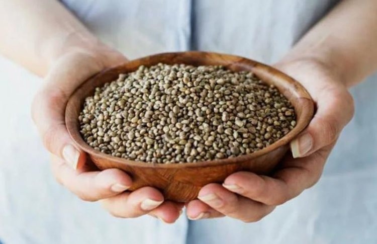    Из Пермского края впервые отгружена продовольственная конопля в Тульскую область