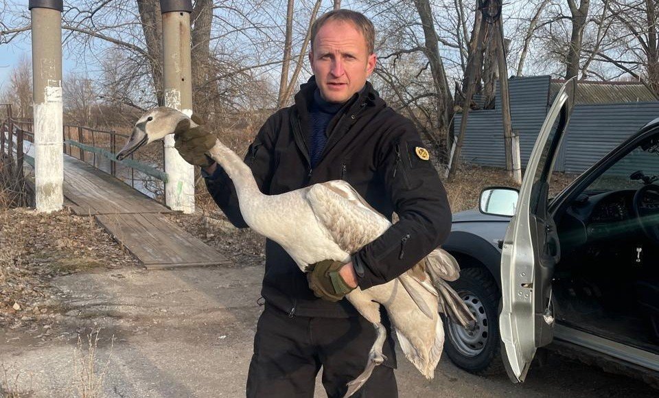    Фото: Минприроды Ульяновской области