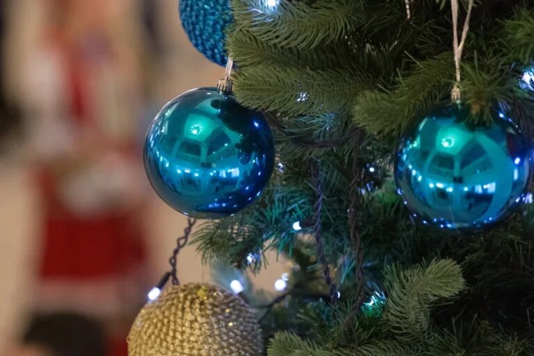    Фото: Общественная Служба Новостей Анна Полякова