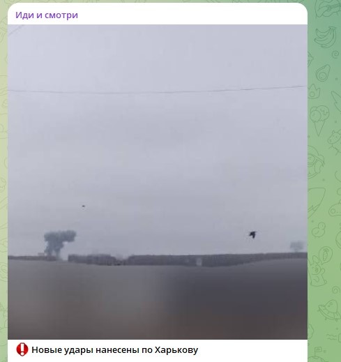    Фото: Скриншот Telegram/Иди и смотри