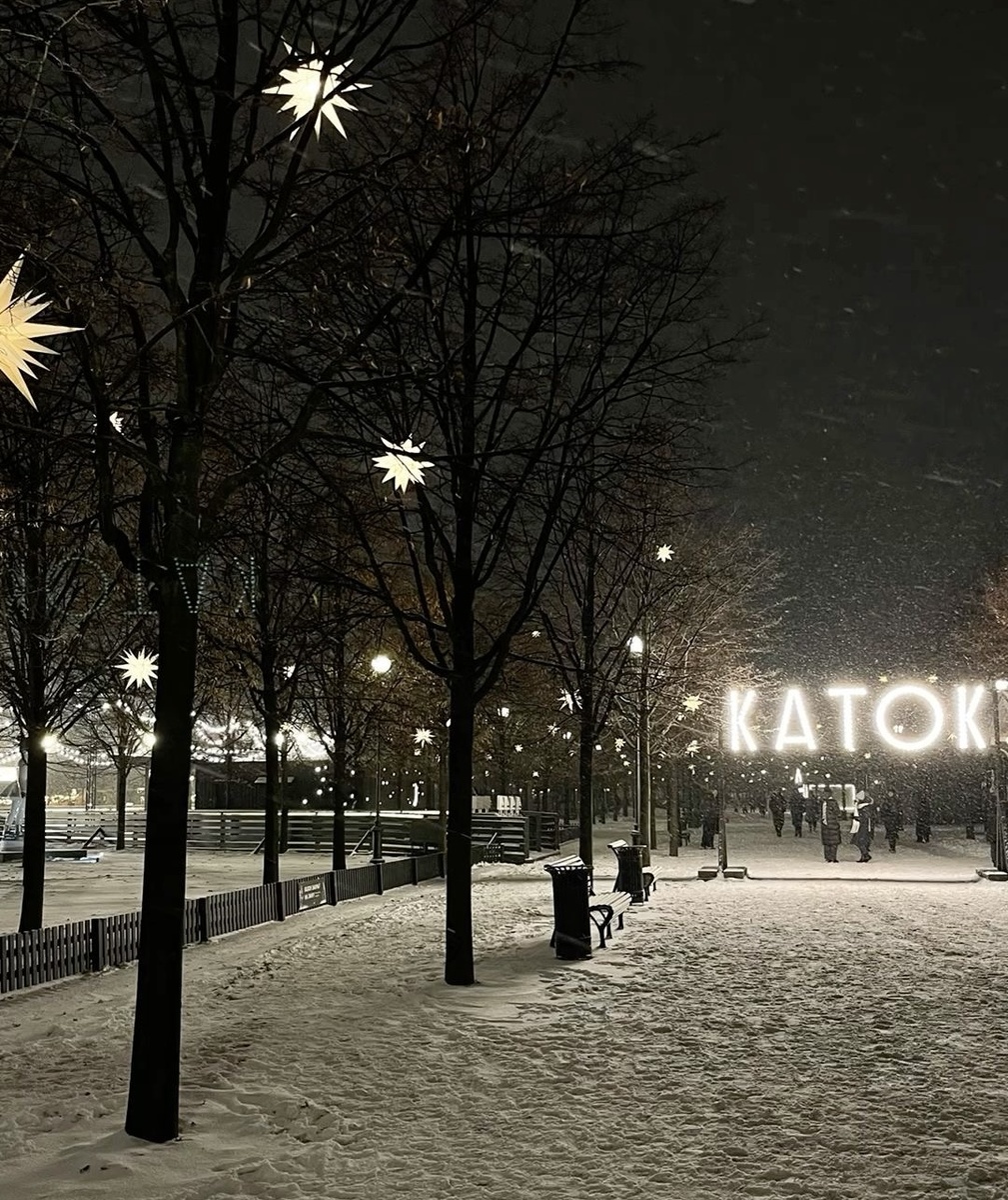 Новая Голландия 