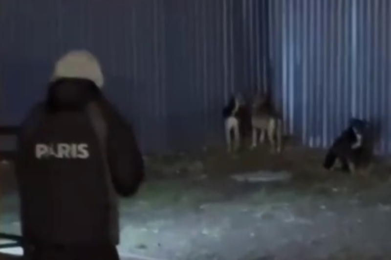 Скриншот | Видео: соцсети