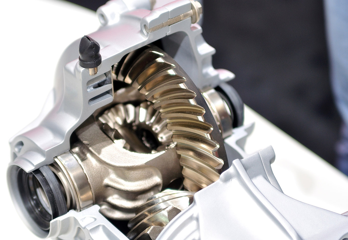 Фото: Shutterstock