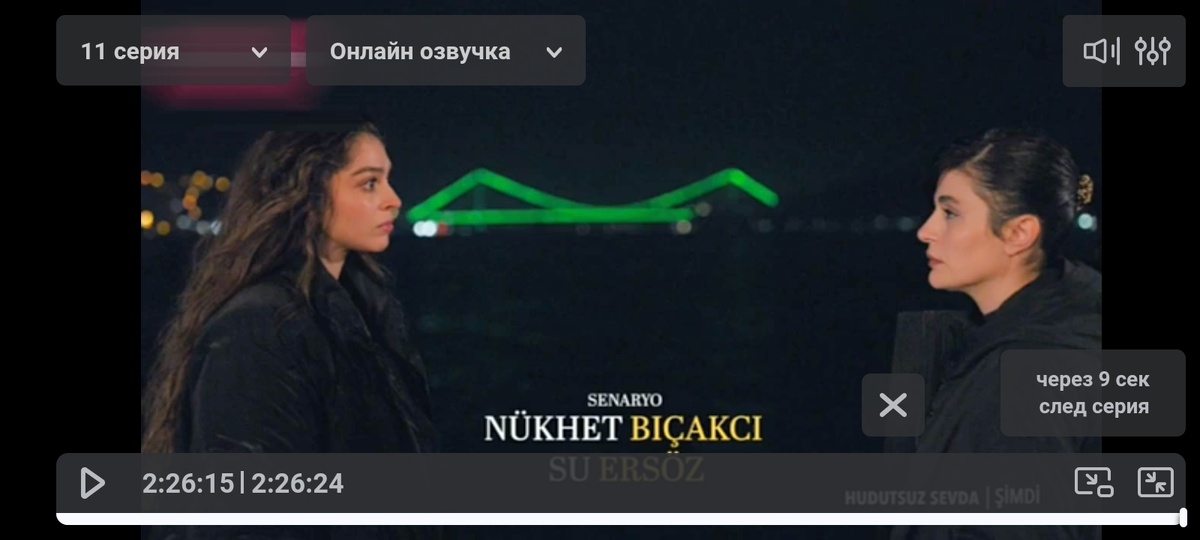 Конец 11-й серии.