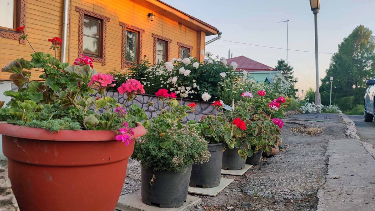 Летом все дома и участки выглядят наиболее выигрышно. Много зелени и цветов