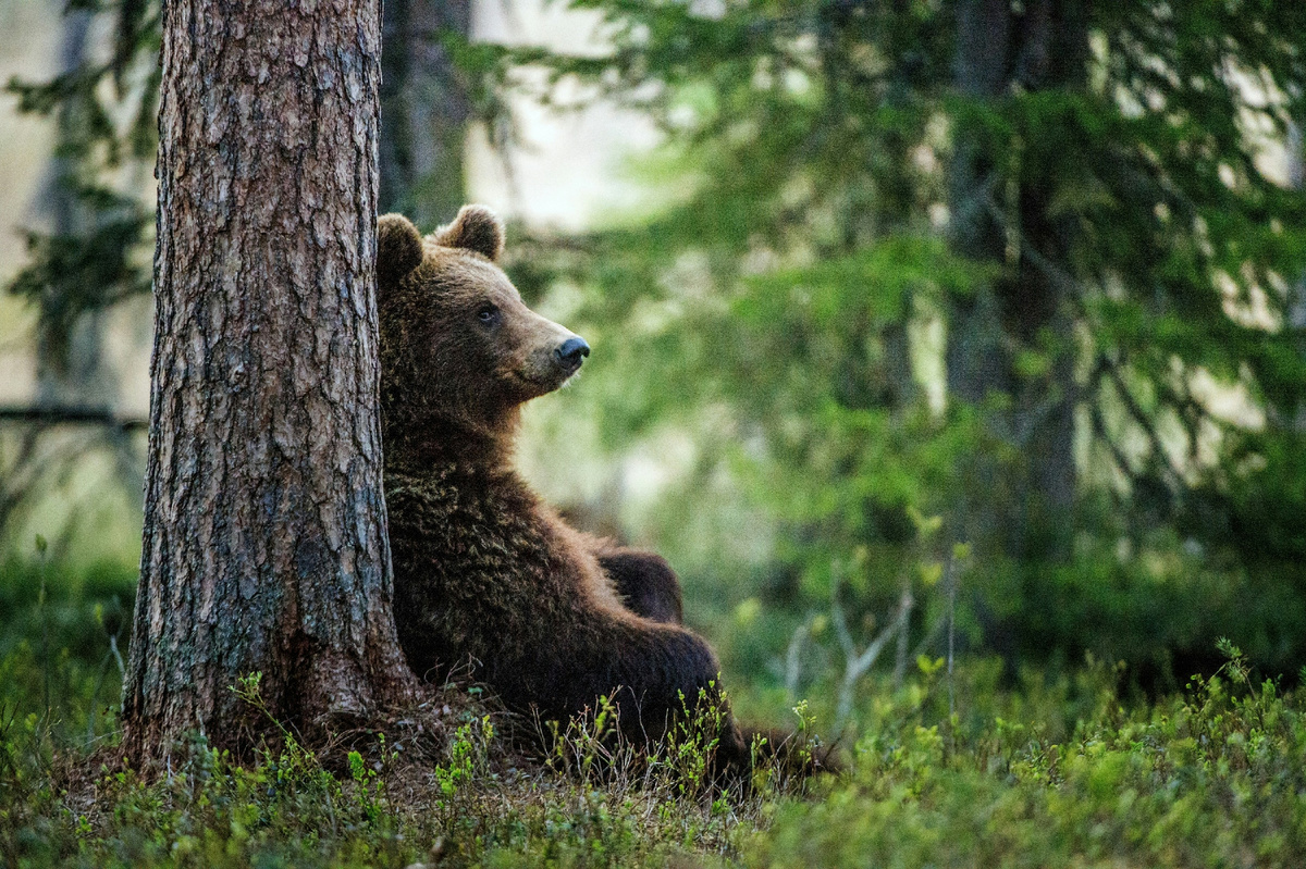 Источник: Unsplash